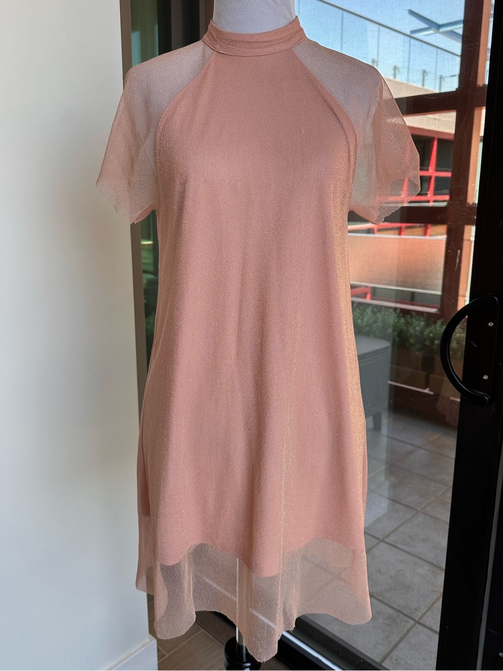 Forever 21 Blush Pink Mesh Overlay Mini Dress